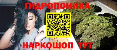 гидропоника Пенза