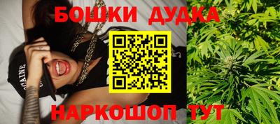 гидропоника Пенза