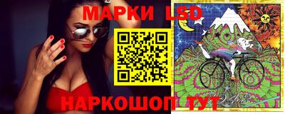 гидропоника Пенза