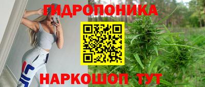 гидропоника Пенза
