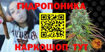 гидропоника Пенза