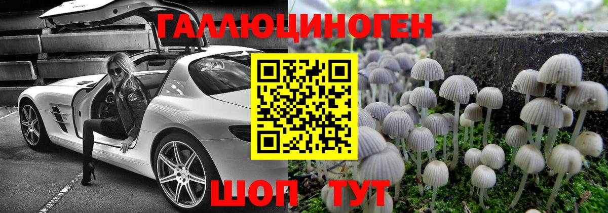 Галлюциногенные грибы Psilocybe  Вход с VPN  Реутов 