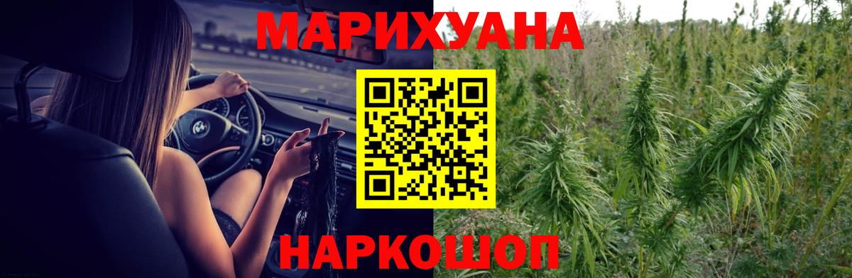 Марихуана сатива Реутов